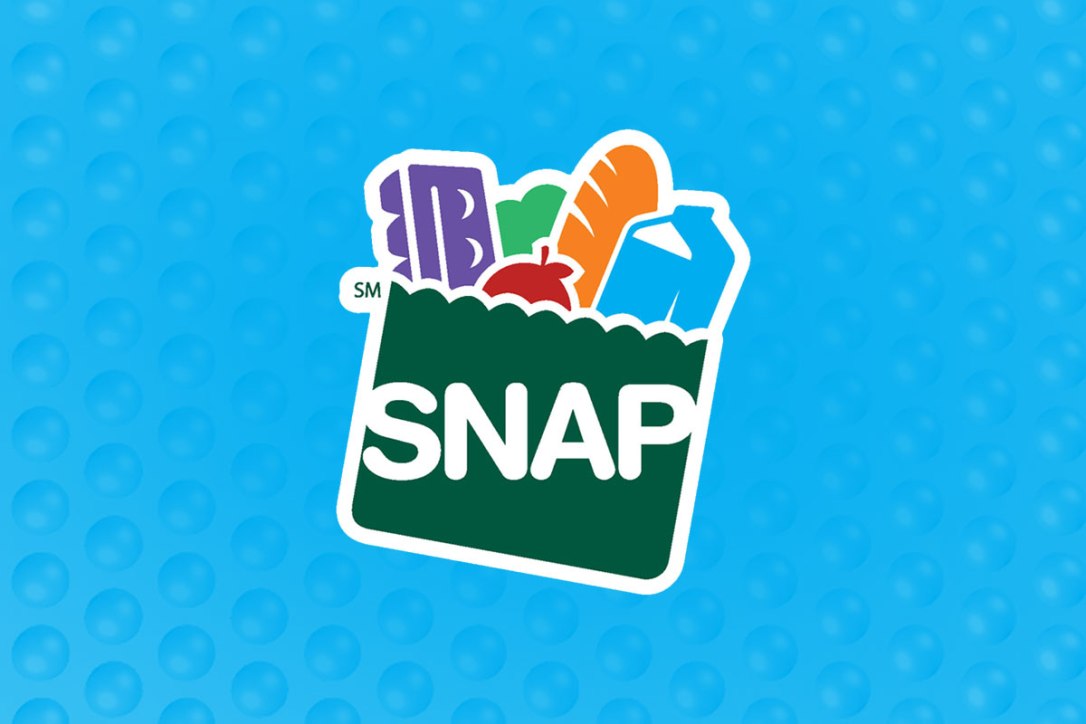 banner-snap
